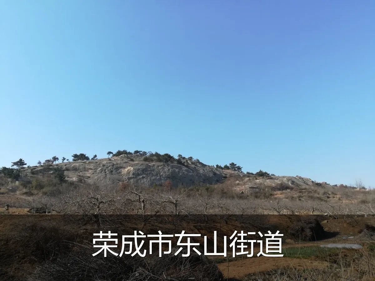 荣成市东山街道
